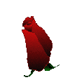 ma fleur